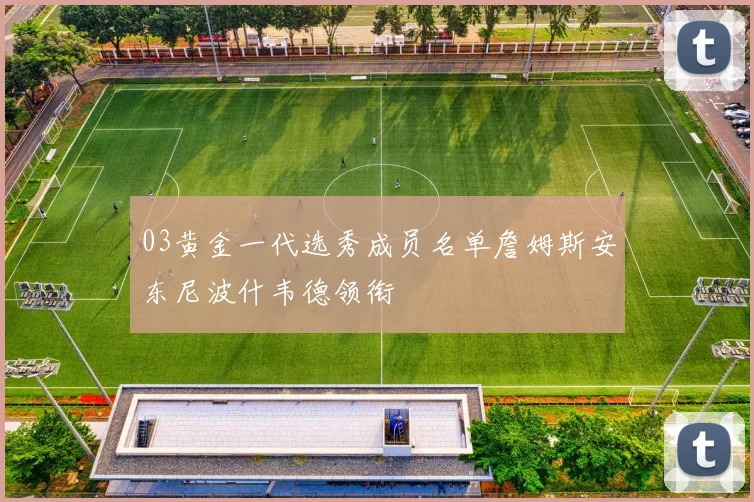 03黄金一代选秀成员名单詹姆斯安东尼波什韦德领衔