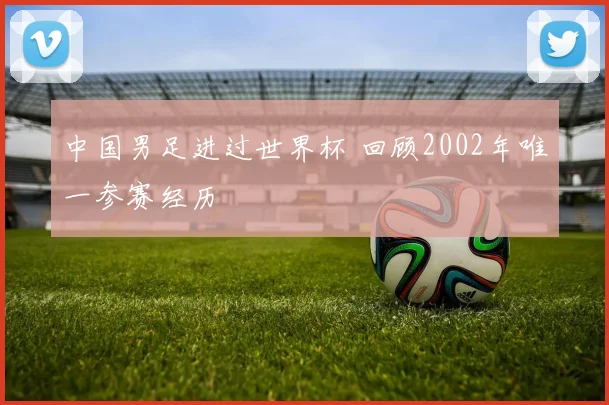 中国男足进过世界杯 回顾2002年唯一参赛经历