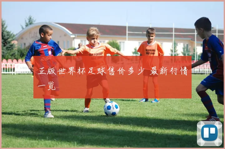 正版世界杯足球售价多少 最新行情一览