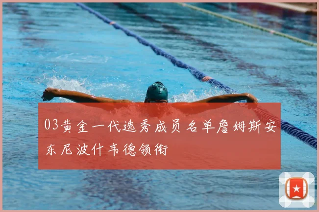 03黄金一代选秀成员名单詹姆斯安东尼波什韦德领衔