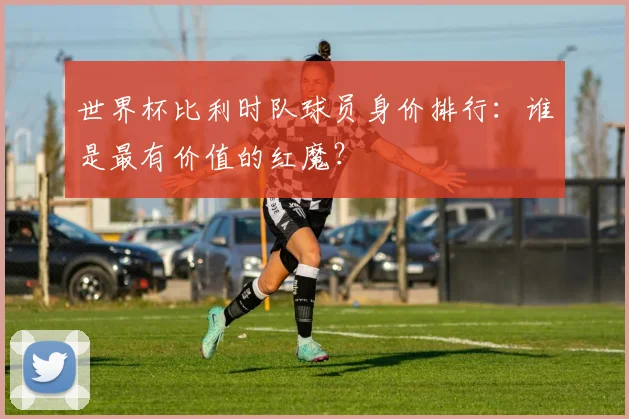 世界杯比利时队球员身价排行：谁是最有价值的红魔？