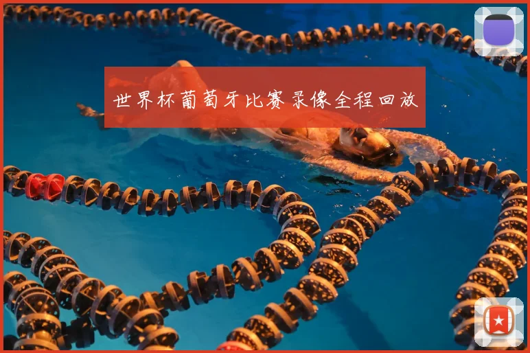 世界杯葡萄牙比赛录像全程回放