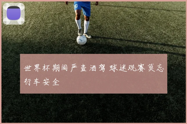 世界杯期间严查酒驾 球迷观赛莫忘行车安全