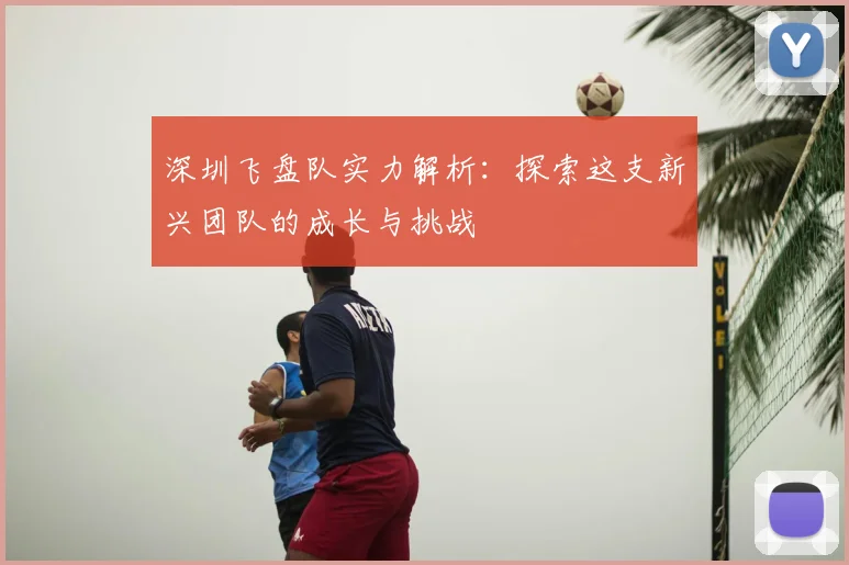 深圳飞盘队实力解析：探索这支新兴团队的成长与挑战