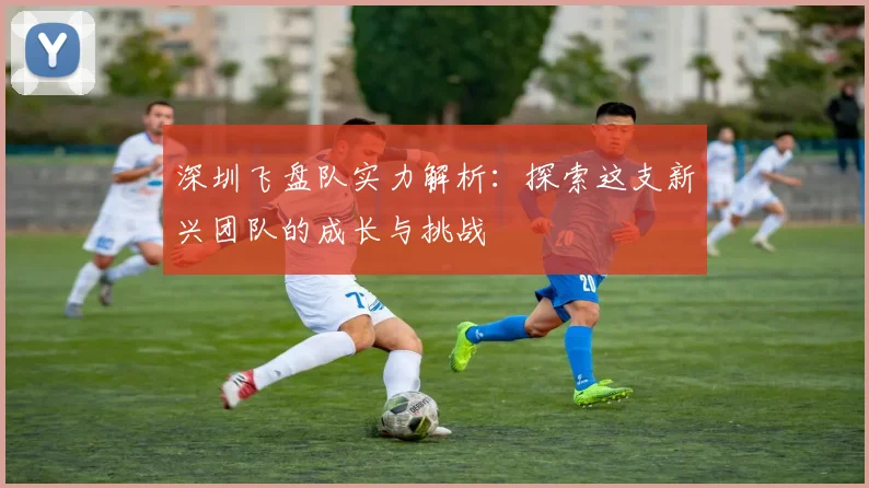 深圳飞盘队实力解析：探索这支新兴团队的成长与挑战
