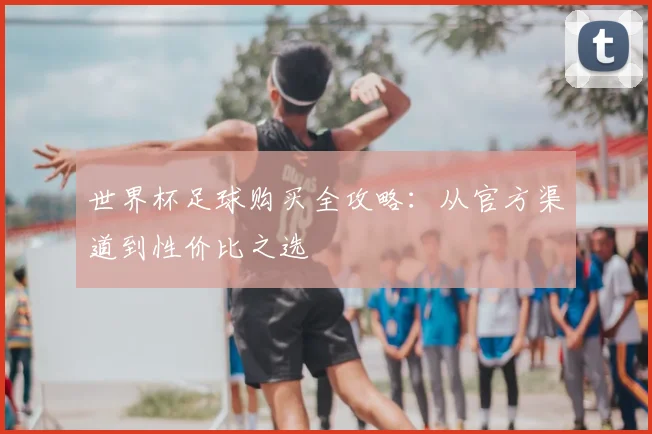 世界杯足球购买全攻略：从官方渠道到性价比之选