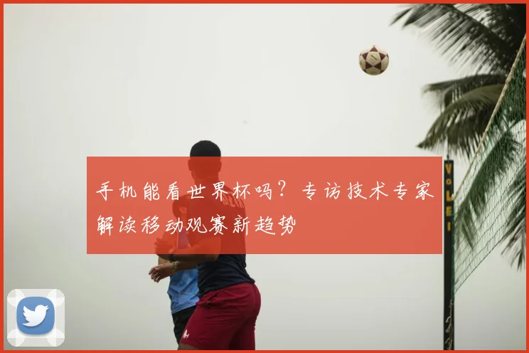 手机能看世界杯吗？专访技术专家解读移动观赛新趋势